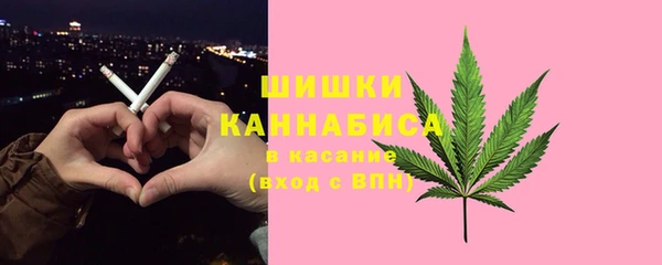 дмт Горно-Алтайск