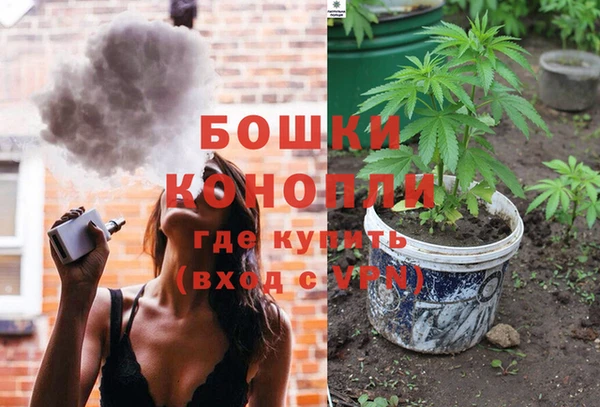 дмт Горно-Алтайск