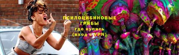 дмт Горно-Алтайск
