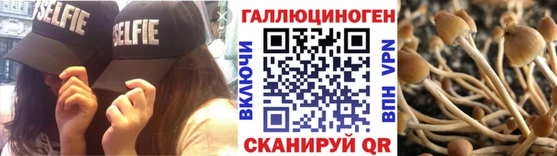 OMG ONION Нижневартовск Галлюциногенные грибы MAGIC MUSHROOMS